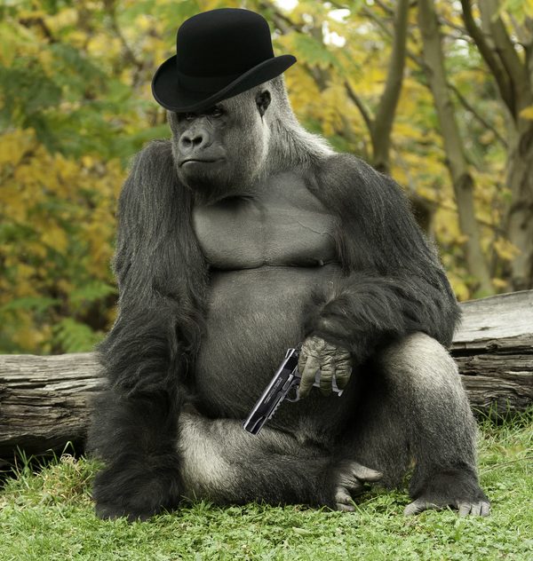 Grisio sitting on a log wearing a black bowler hat